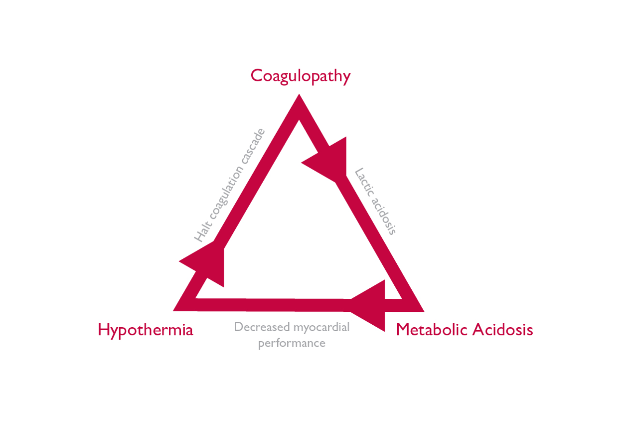 Hypothermia in the trauma casualty and the latest TCCC guidance